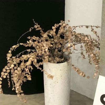 Furry插画构图思路福瑞交流群